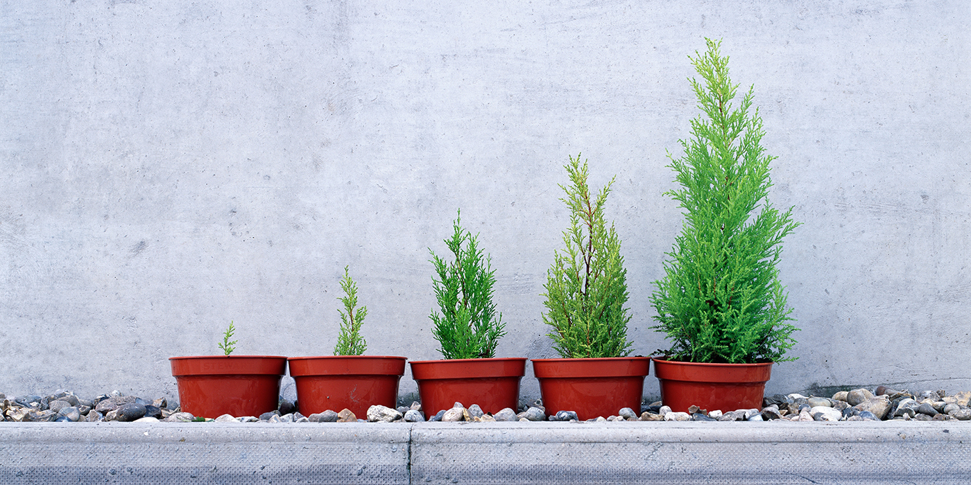 The Spring Framework Beginner’s Guide: Features, Architecture & Getting Started