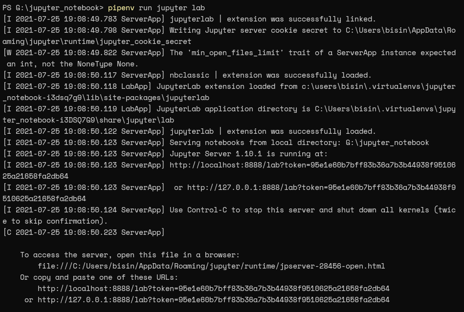 Jupyter Notebook