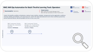 Learning Path for AMI Ops Automation for Batch ThruPut