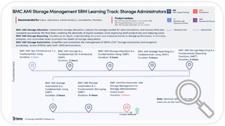 Learning Path for BMC AMI Storage Management