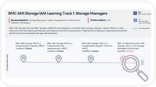 Learning Path for BMC AMI Storage Performance