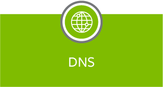 dns