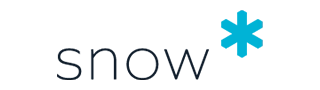 Snow Software Snow Software
