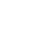 Adaptive Cybersecurity Icon