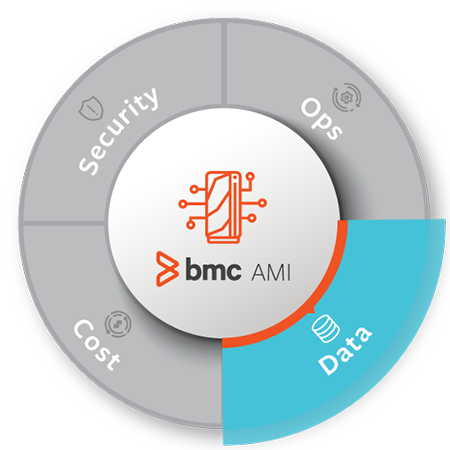 BMC AMI Data
