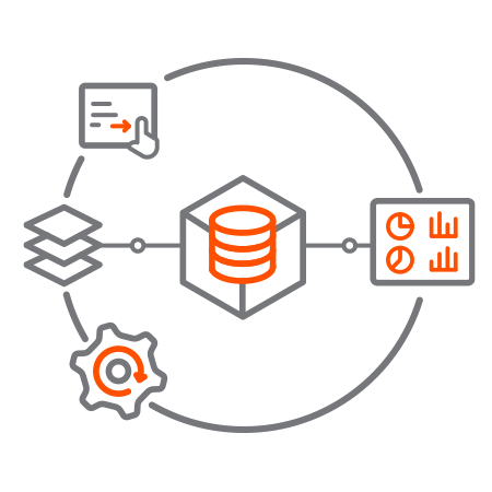 IMS Data Management